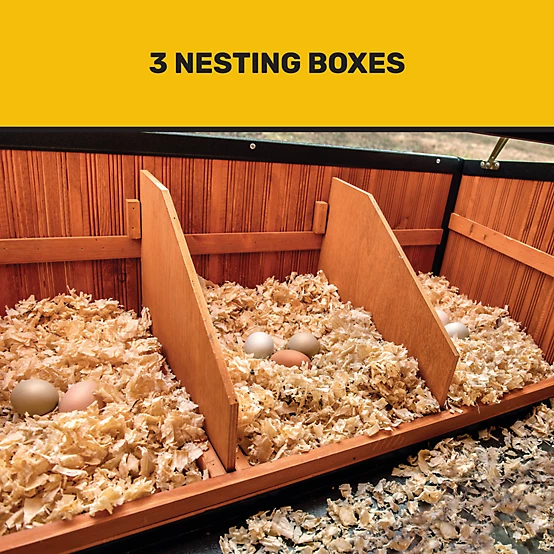 Producer's Pride Sentinel Chicken Coop, 6 Chicken Capacity