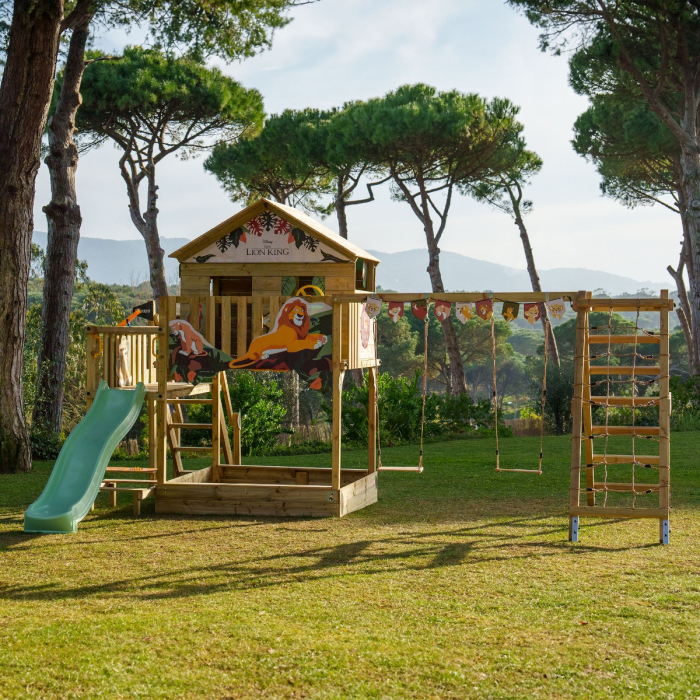 Disney's The Lion King Saga climbing frame by Wickey