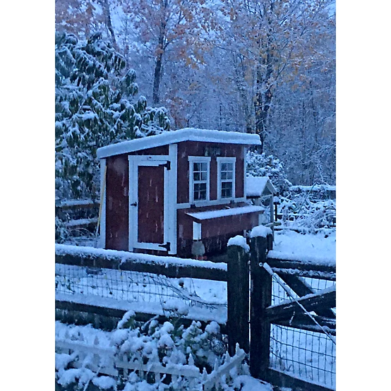 OverEZ Large Chicken Coop, 15 Chicken Capacity