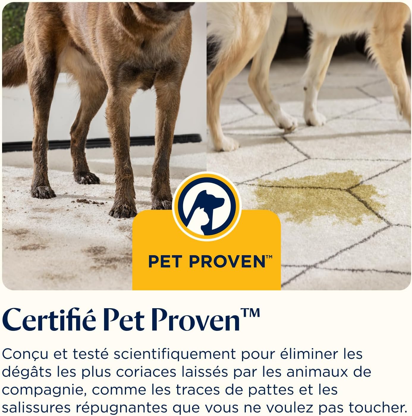 BISSELL SpotClean HydroSteam, Shampouineuse Canapé, Moteur Puissant de 1000W, Nettoyeur Vapeur avec Technologie HydroSteam, Nettoyeur pour Tapis, Moquettes, Meubles, Tissus, Voiture & Plus, 3689N