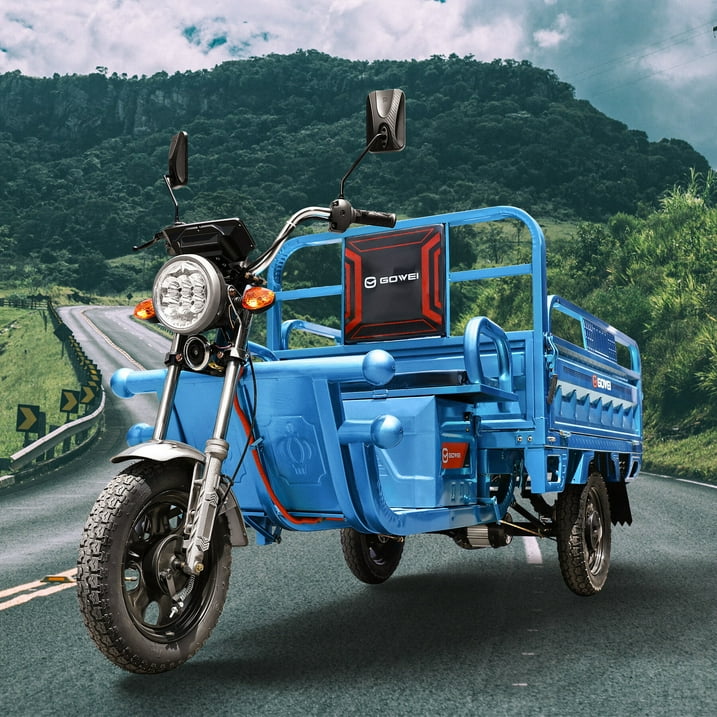 Oryxearth 1000W 60V 3-Wheel Electric Vehicle, 32Ah Auto Electric Minibike, up to 21 Mph