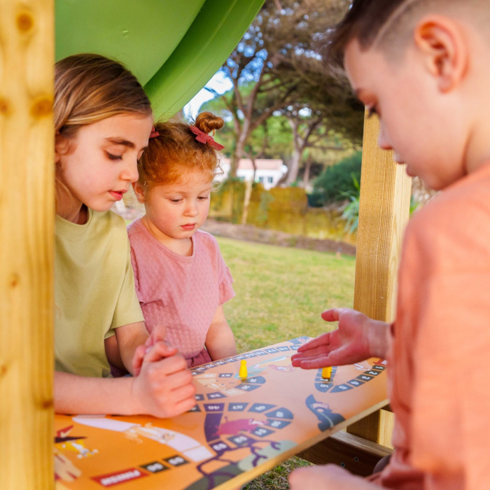 Disney's The Lion King Saga climbing frame by Wickey