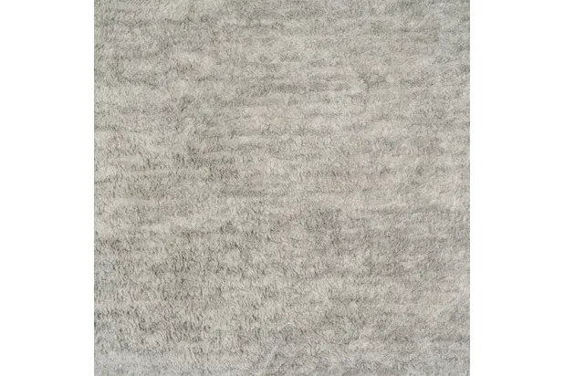 GALACTIC OYSTER 2PC SECTIONAL