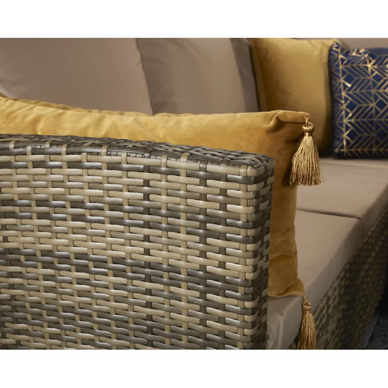 Camila Wicker 9 - Person Garden Lounge Set with Cushions