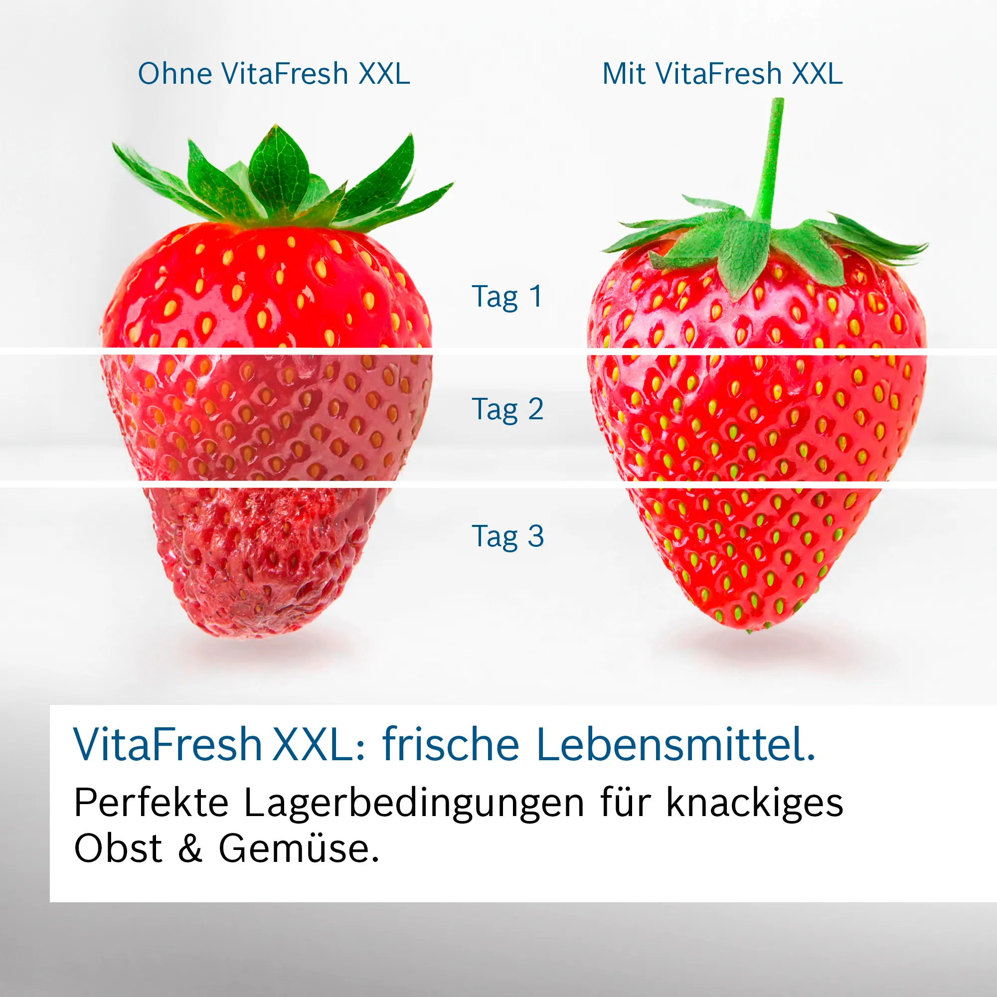 Bosch Serie 4 Kühl-Gefrier-Kombination, mehrtürig 183 x 90.5 cm Inox, Total No Frost