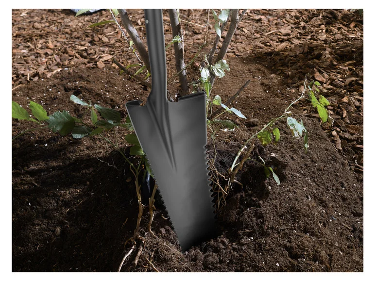 PARKSIDE Bêche avec scie à racines ou Pelle avec lame ondulée