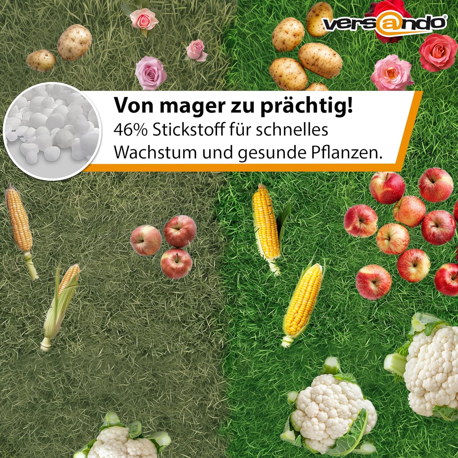 versando Urea Fertiliser, 1000 kg, 46% Nitrogen, for approx. 4 Hectares, For All Horticulture from February to October, 200 Bags, 1 Pallet