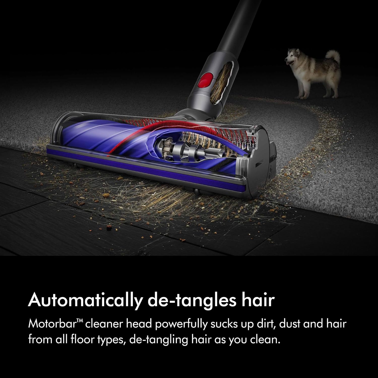Dyson V8™ Advanced cordless stick vacuum cleaner