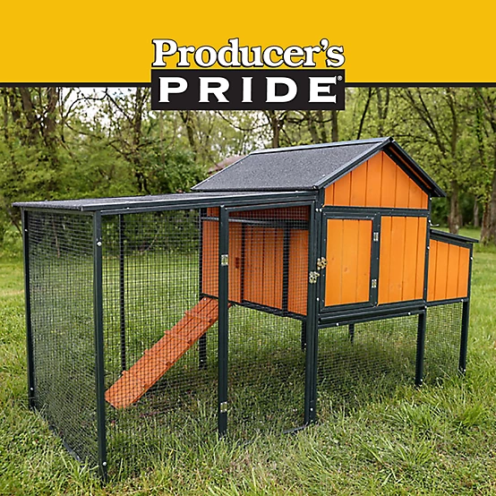 Producer's Pride Sentinel Chicken Coop, 6 Chicken Capacity