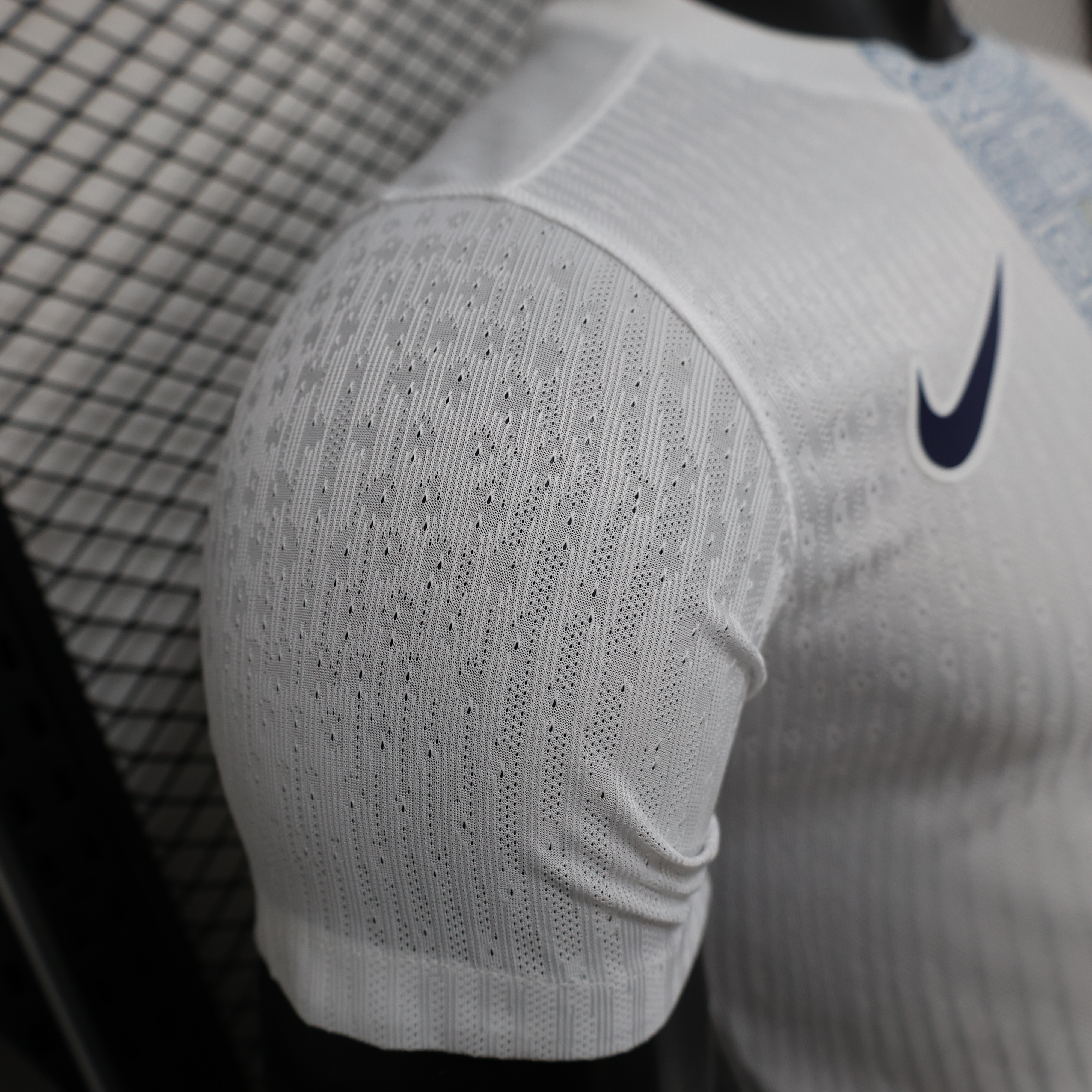 Player Version 25/26 Tottenham Hotspur Nike Year of the Snake Warm Up Jersey 1:1 Thai quality