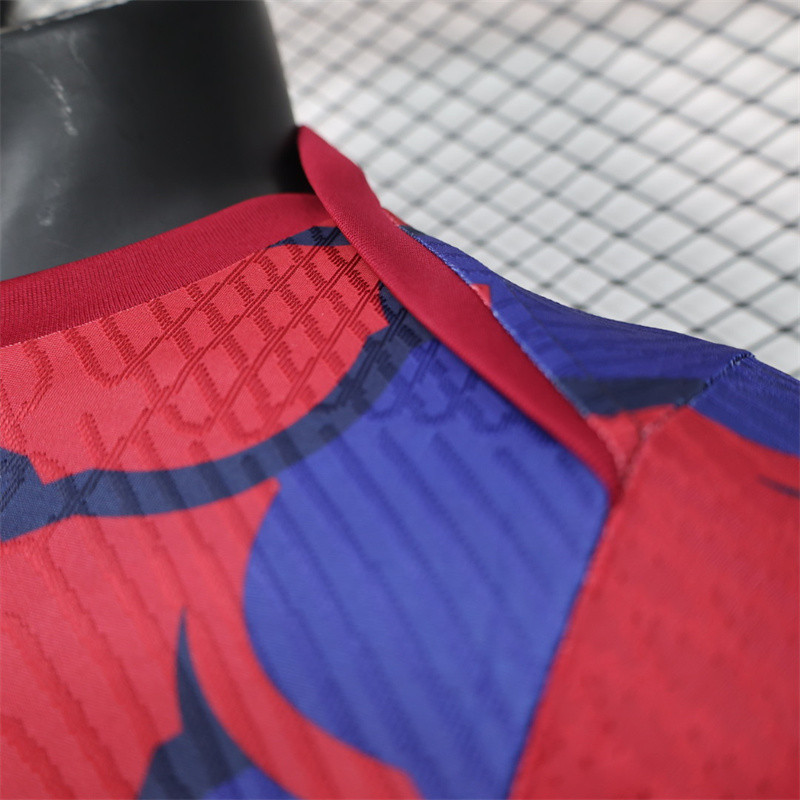 Player Barcelona Training Kit 24/25 Football Jersey