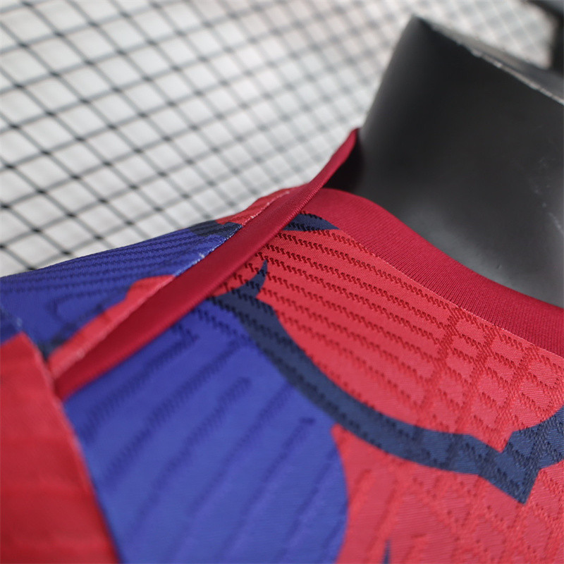 Player Barcelona Training Kit 24/25 Football Jersey