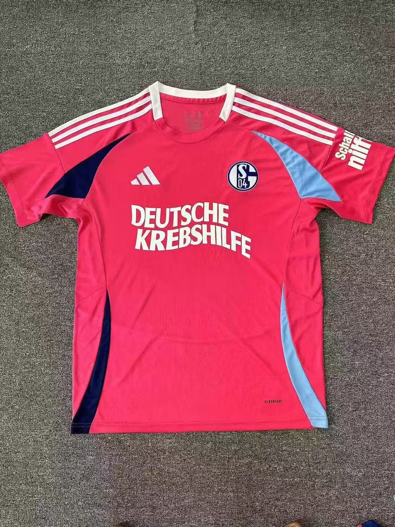 Schalke 04 24-25