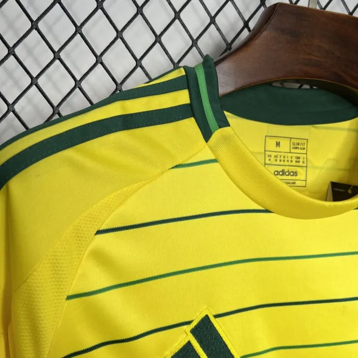 24/25 Celtic Away Kit Football Shirt  1:1 Thai Quality