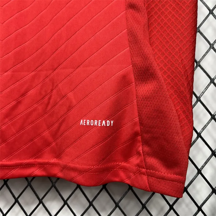 Benfica Home Jersey 24/25 Football Kit 1:1 Thai quality