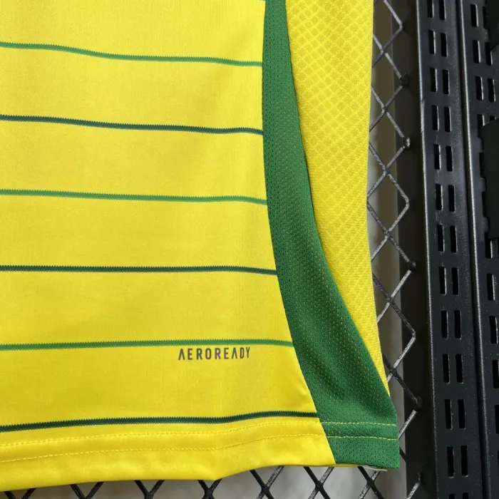 24/25 Celtic Away Kit Football Shirt  1:1 Thai Quality