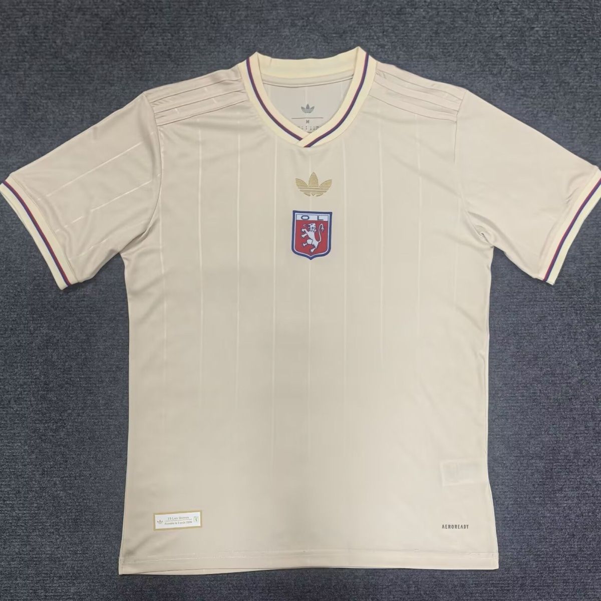 Lyon 2025 Football 75th anniversary Jersey 1:1 Thai Quality