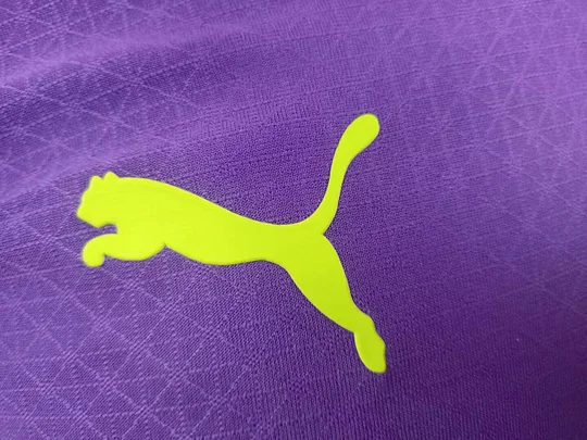 Player 24/25 Dortmund special edition goalkeeper football jersey