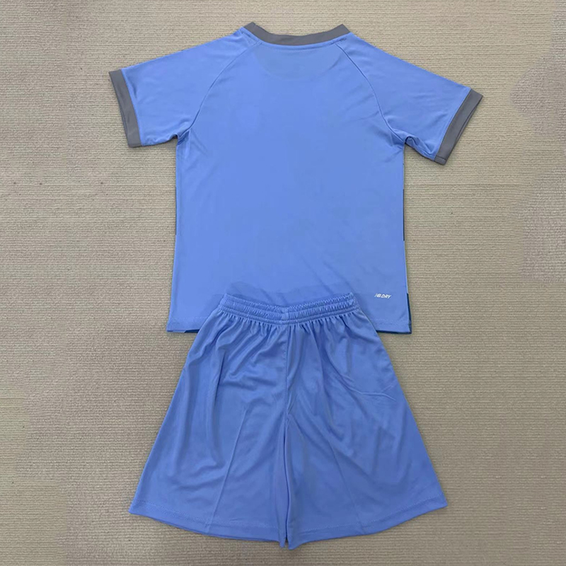 Cardiff City 24/25 Third Away Football Jersey + Shorts 1:1 Thai quality