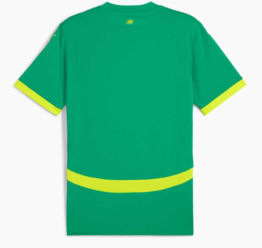 2024 Senegal National Team home Football Shirt 1:1 Thai Quality