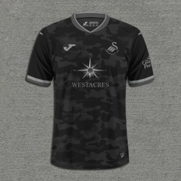 24/25 Swansea City Away Football Jersey 1:1 Thai Quality