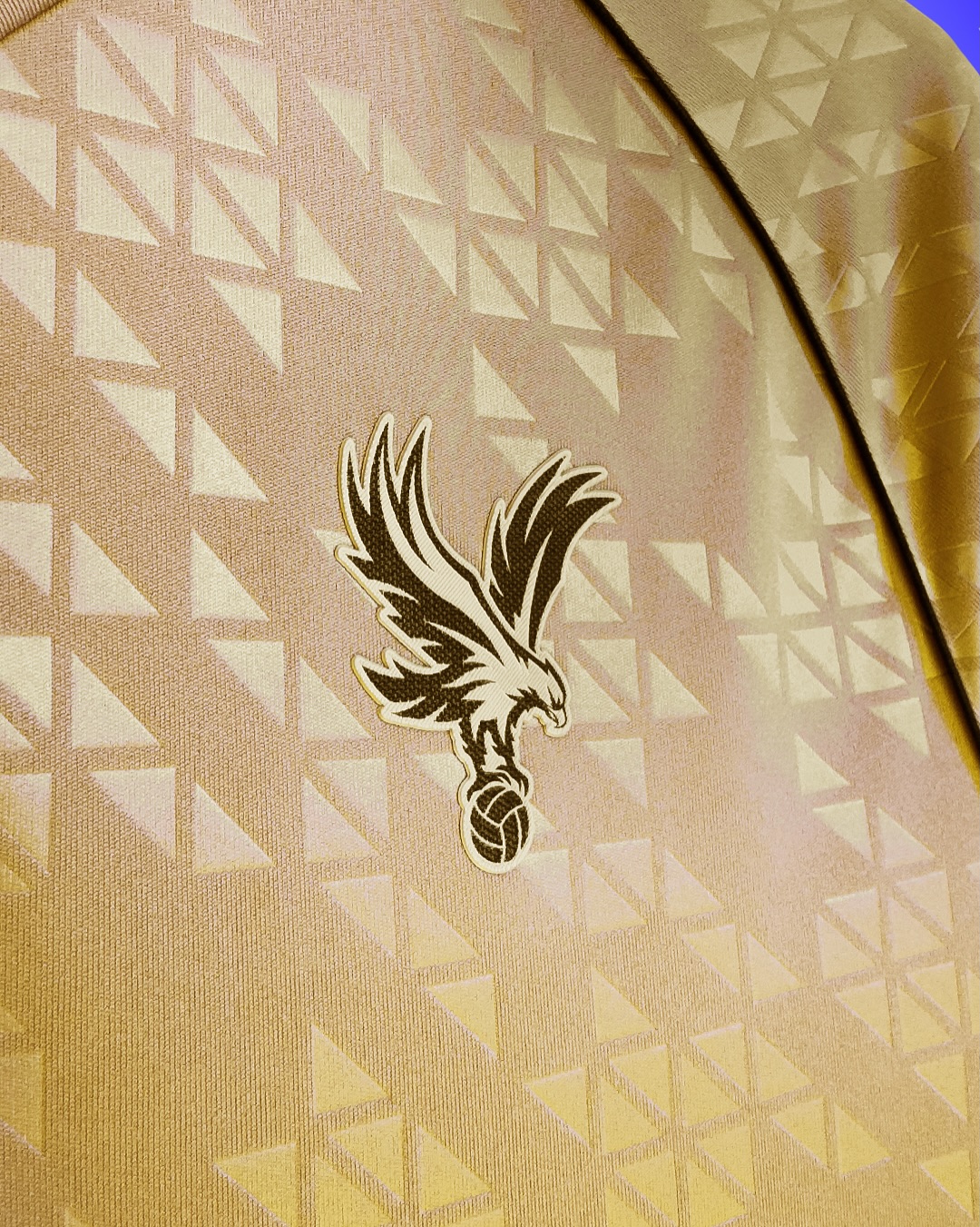 25/26 Crystal Palace Eagle Gold kit 1:1 Thai Quality