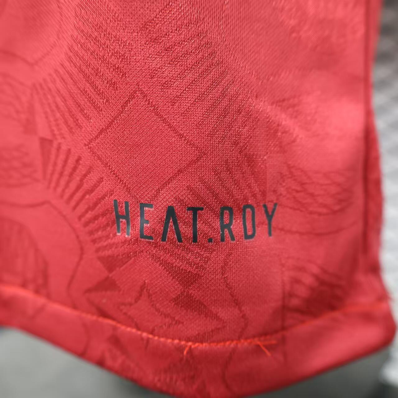 2025 Player Edition Bayern Munich 125th Anniversary  Jersey 1:1 Thai Quality