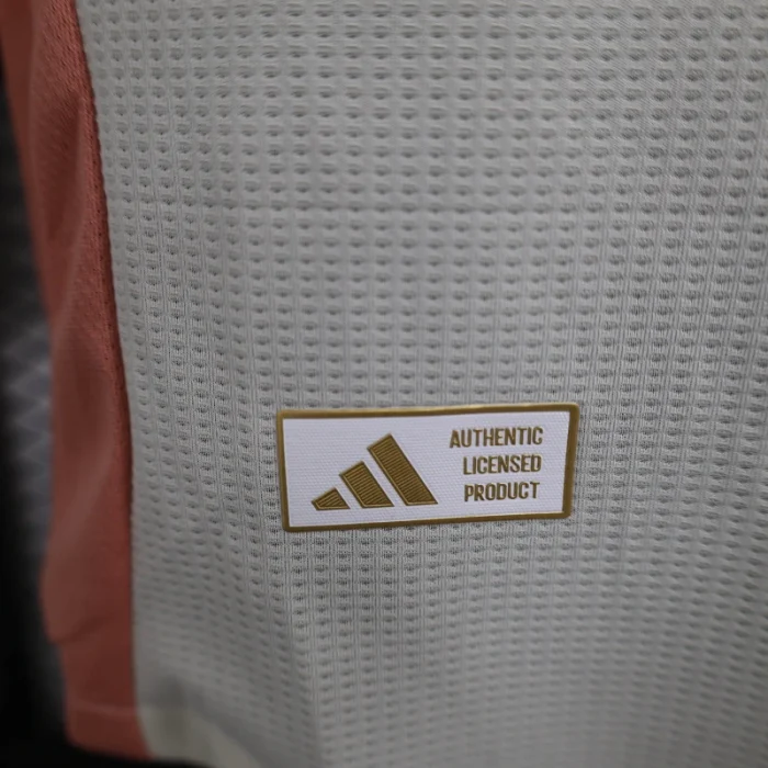 Player Version Lyon Third Kit 24/25 Football Jersey 1:1 Thai Quality