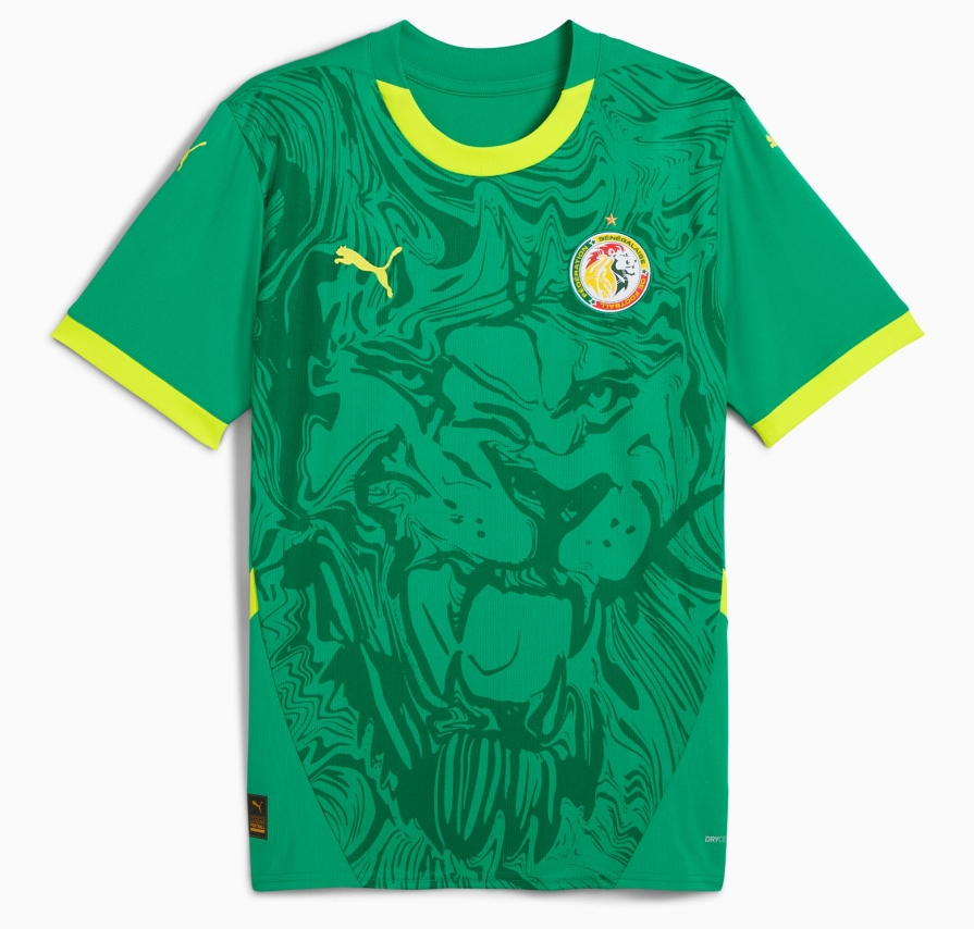 2024 Senegal National Team home Football Shirt 1:1 Thai Quality