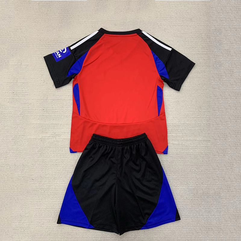 24/25 Hamburger SV Third Away Football Shirt + shorts 1:1 Thai Quality