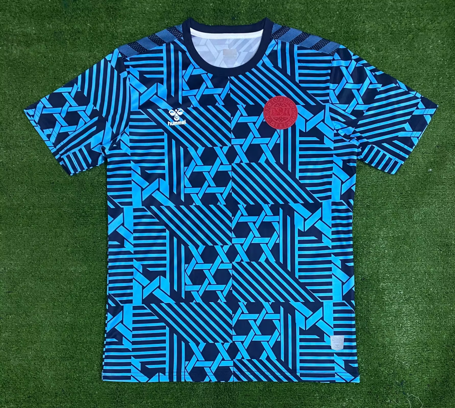 2023 Denmark Training Wear Soccer Jersey