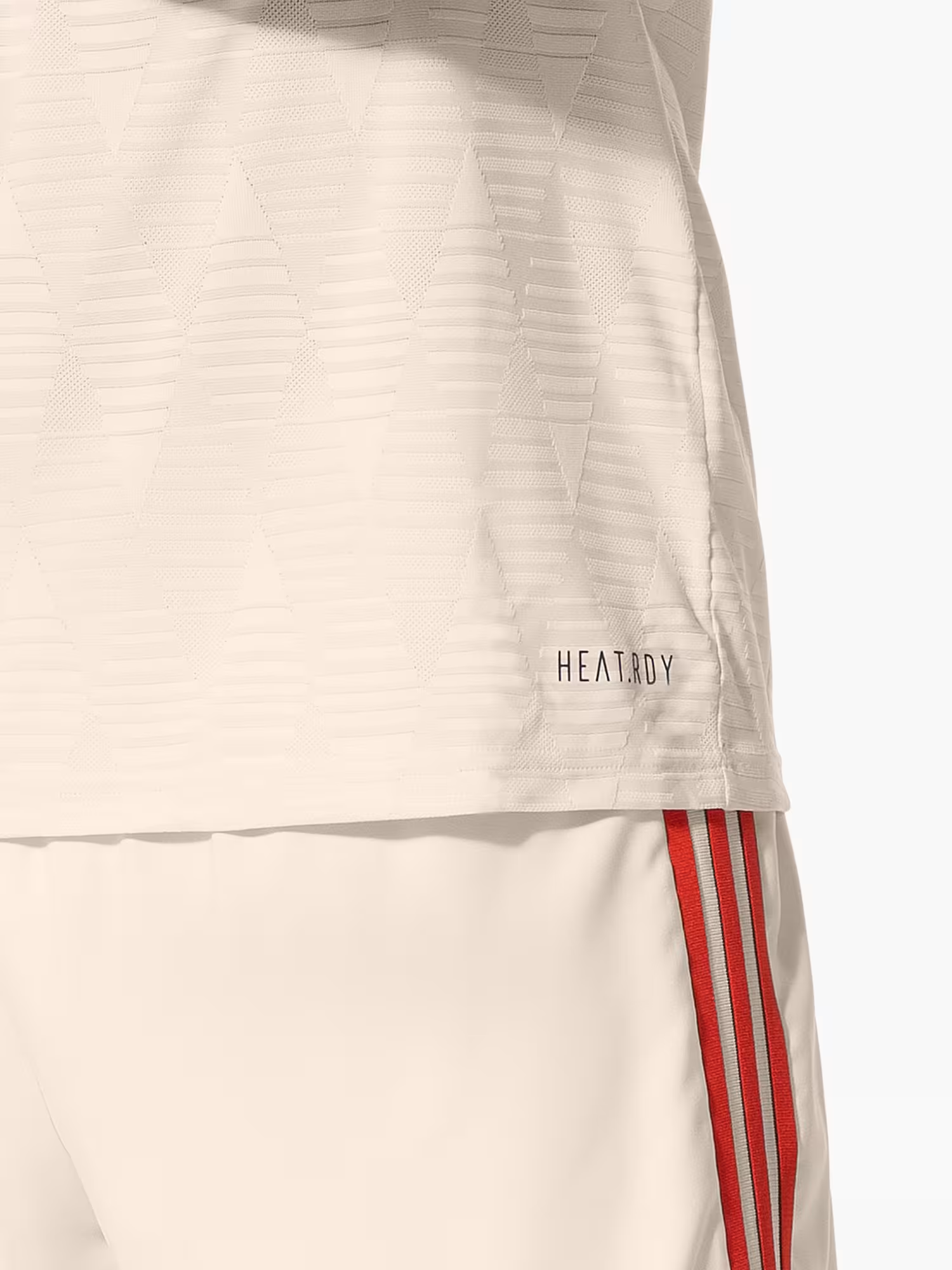 24/25 Bayern Beckenbauer Cup Third Jersey 1:1 Thailand Quality