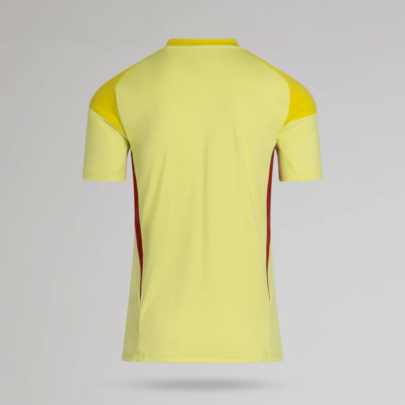 2025/2026 Celtics goalkeeper home jersey1:1 Thai Quality