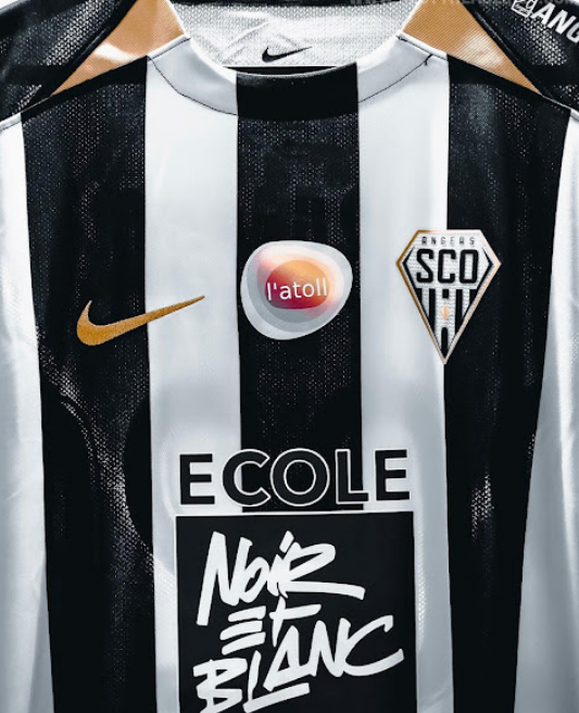 Angers 25-26 Home Kit