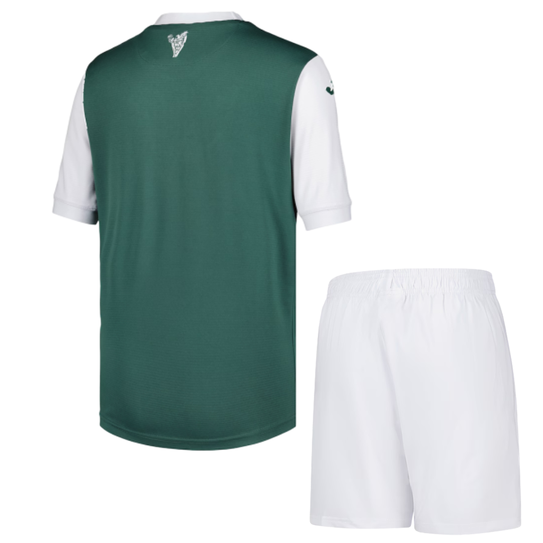 Kids Hibernian FC 150th Anniversary 2025-26 Home Kit 1:1 Thai quality