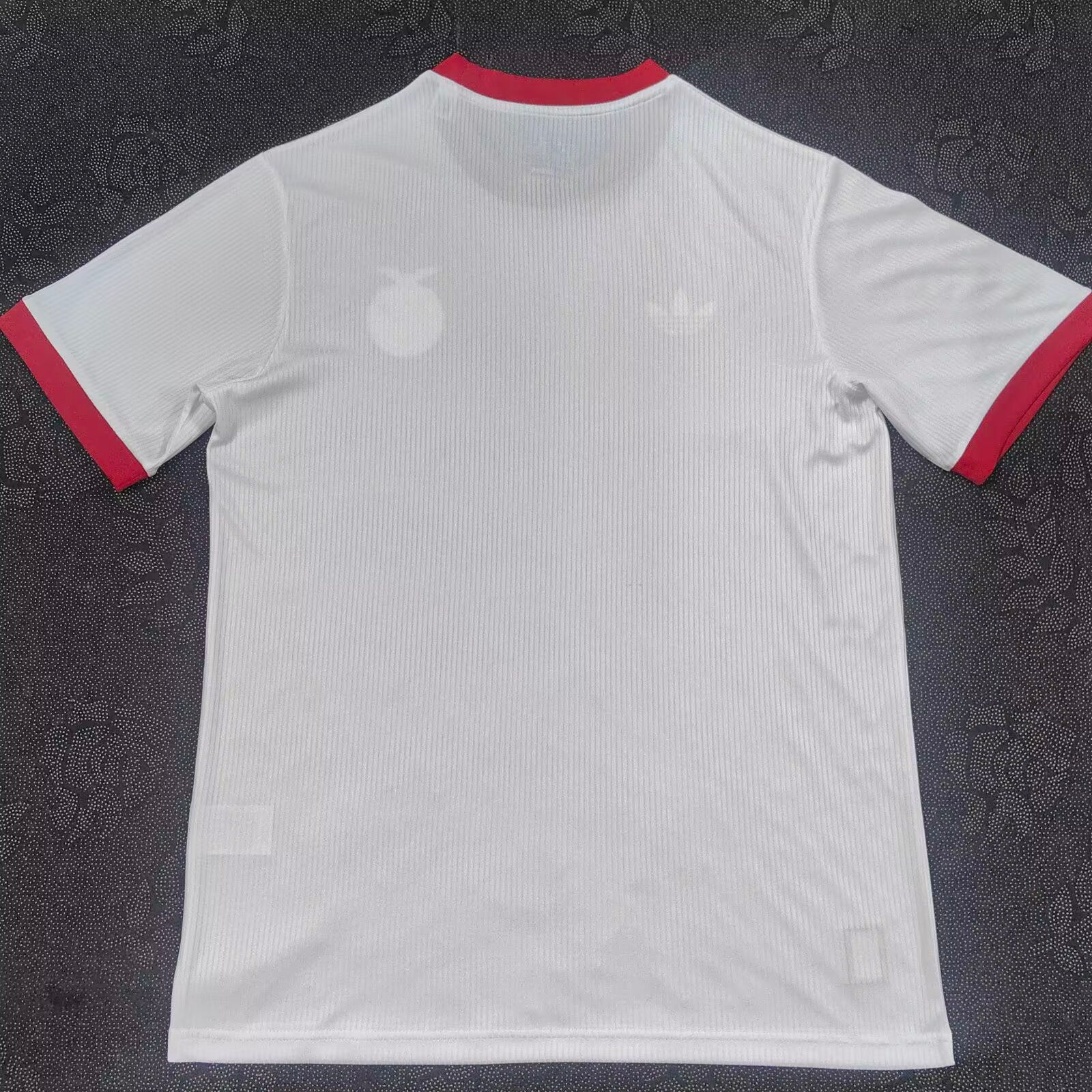 25/26 Benfica Anniversary Edition Jersey 1:1 Thai quality
