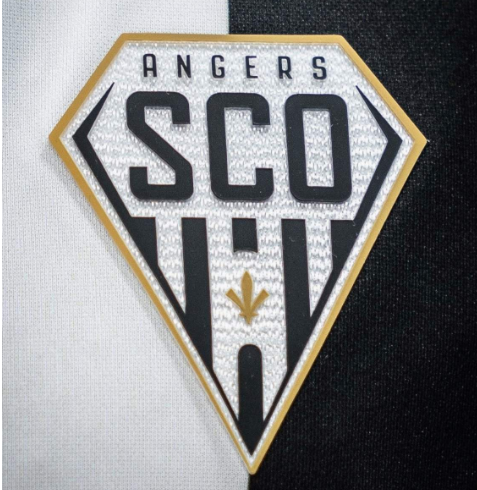 Angers 25-26 Home Kit