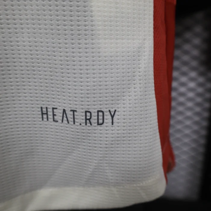 Player Version Lyon Third Kit 24/25 Football Jersey 1:1 Thai Quality