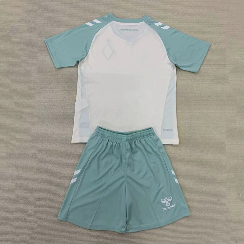 Werder Bremen Away Jersey 24/25 Football Jersey + Shorts 1:1 Thai quality