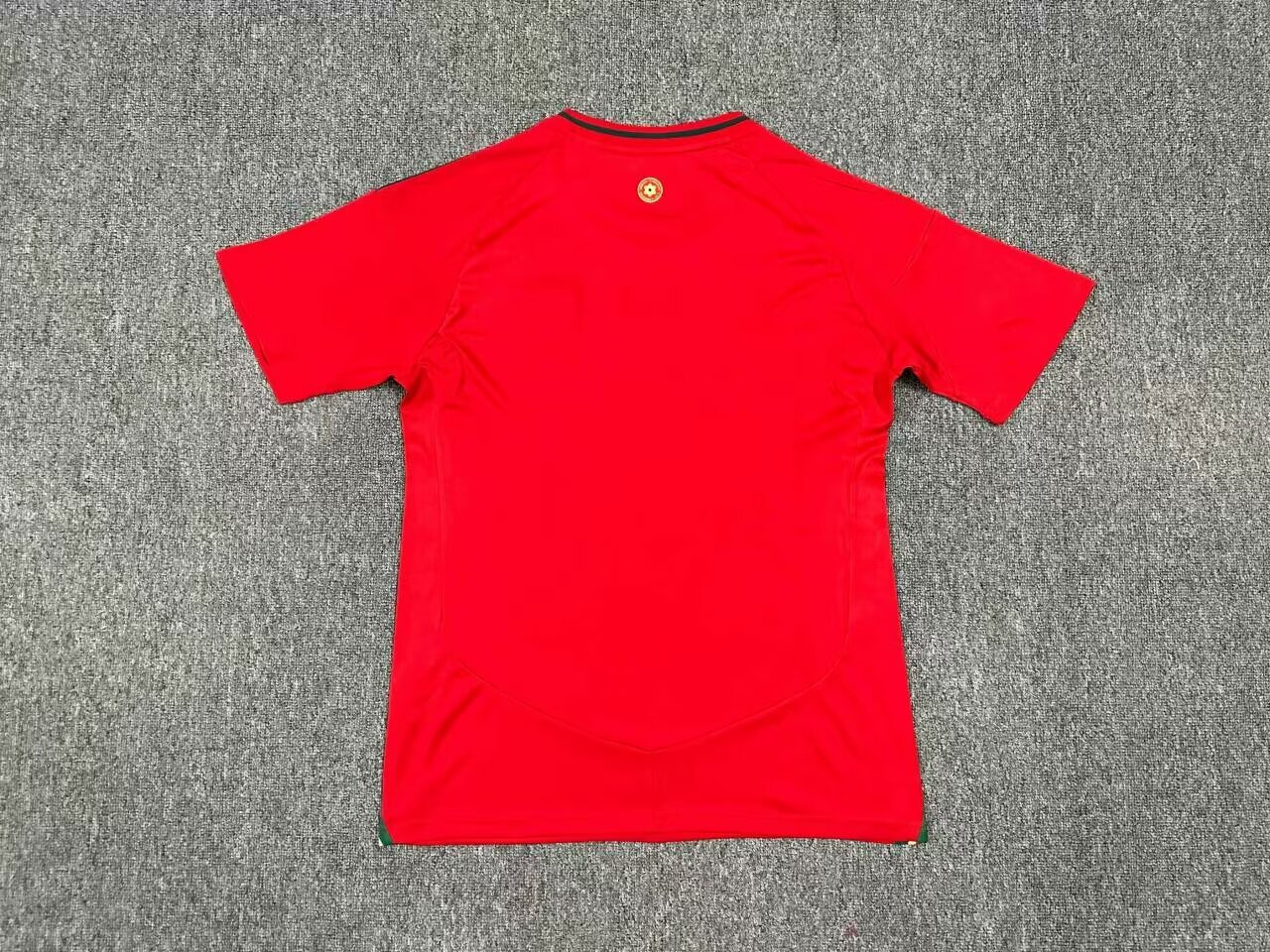 Wales Home Kit 24/25 Euro Cup 2024 Football Jersey