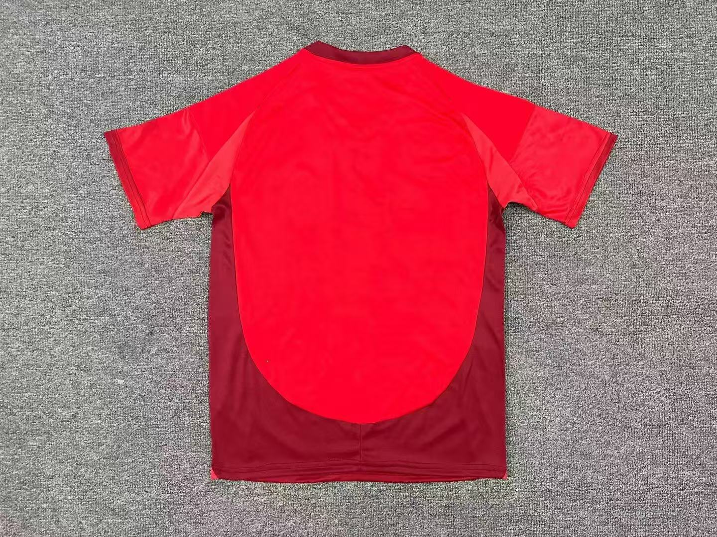 2025 Toronto Home Football Jersey 1:1 Thai Quality