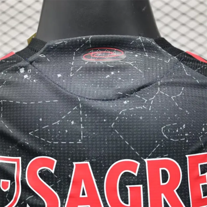 Player Version Benfica Away Jersey 24/25 Football Kit 1:1 Thai quality