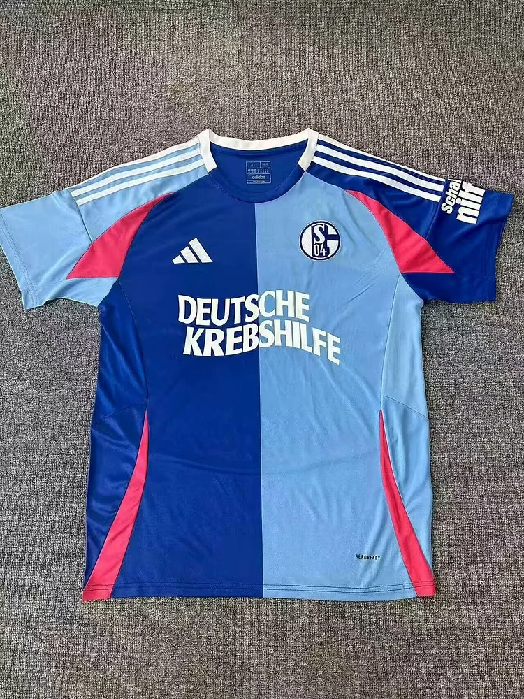 Schalke 04 24/25