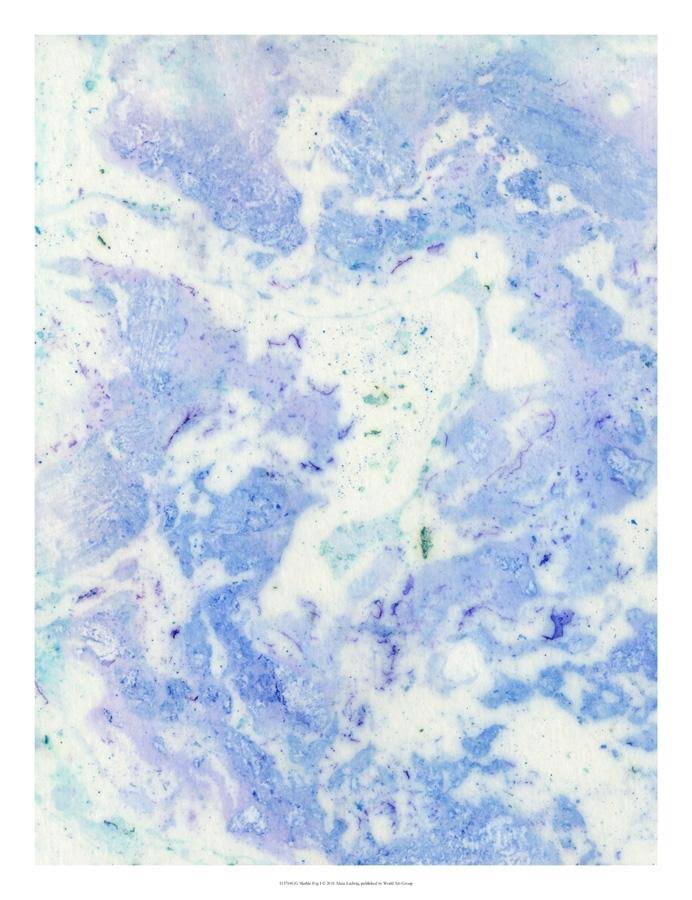 Alicia Ludwig - Marble Fog I Giclee Canvas