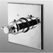 Newport Brass 3-1034TS/15A Chesterfield Square Thermostatic Trim Plate with Handle Antique Nickel