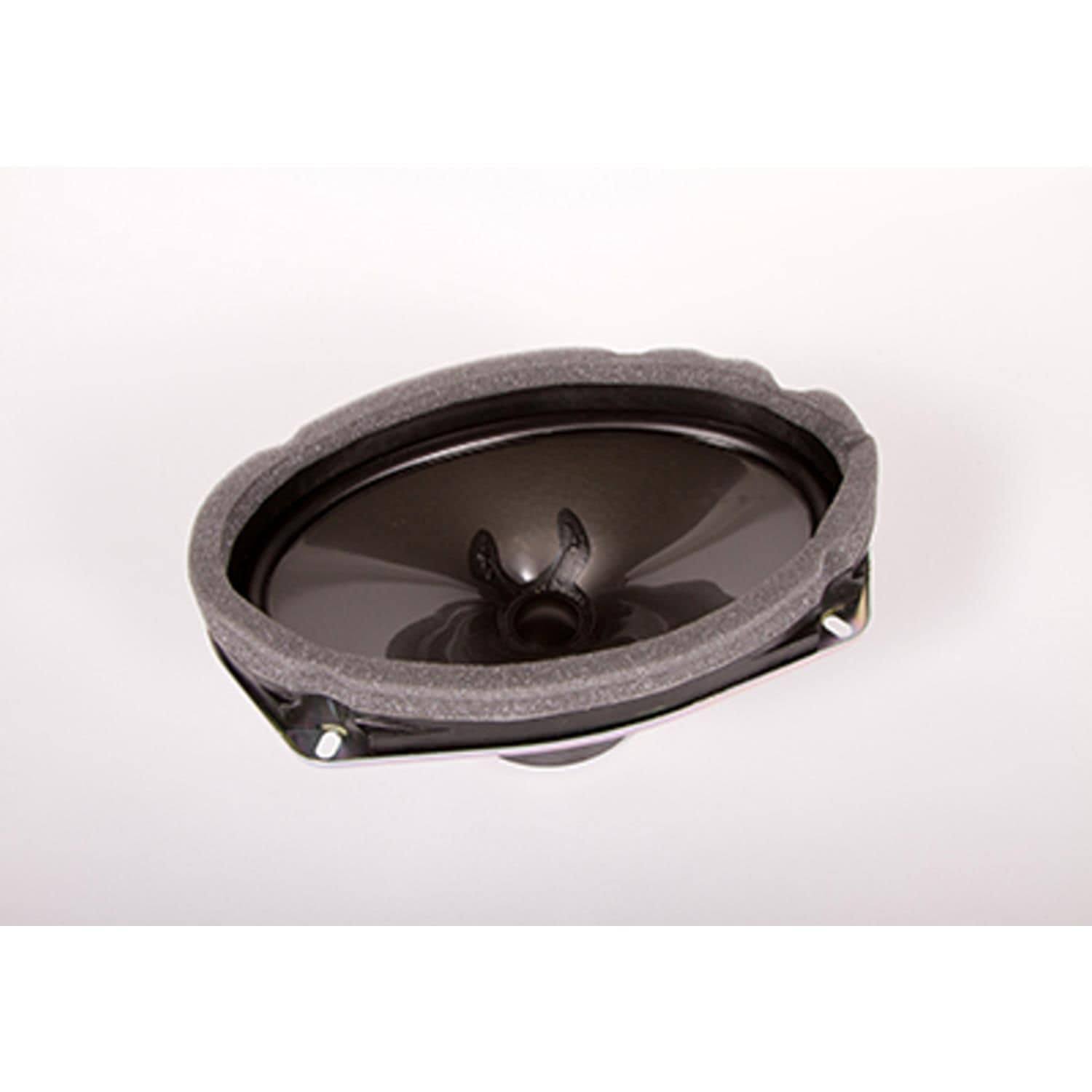 ACDelco 22699256 - Rear Radio Speaker