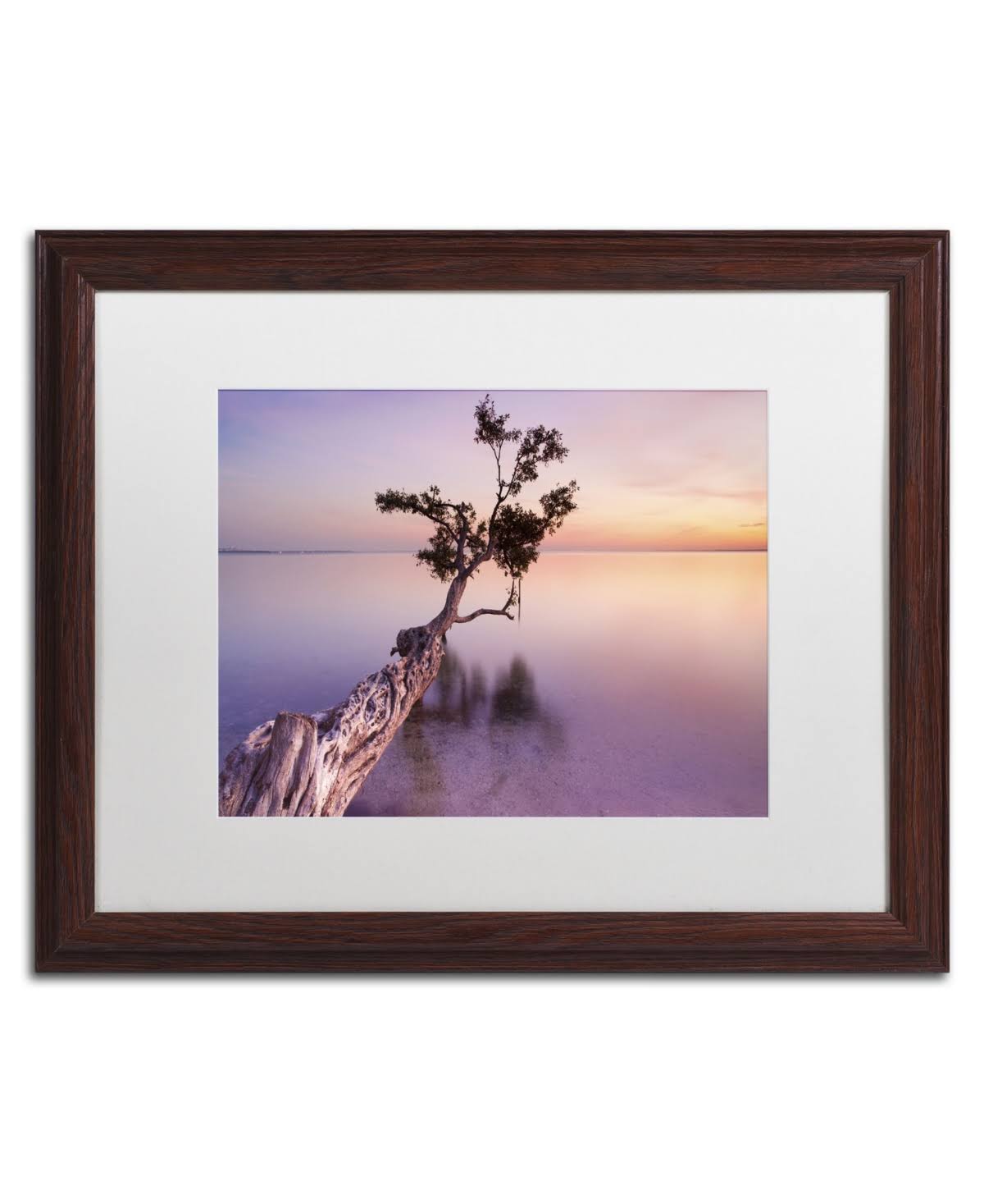 Trademark Fine Art Water Tree XI by Moises Levy Framed Photographic Print - Size: 16x22 H x 20x22 W x 0.5x22 D