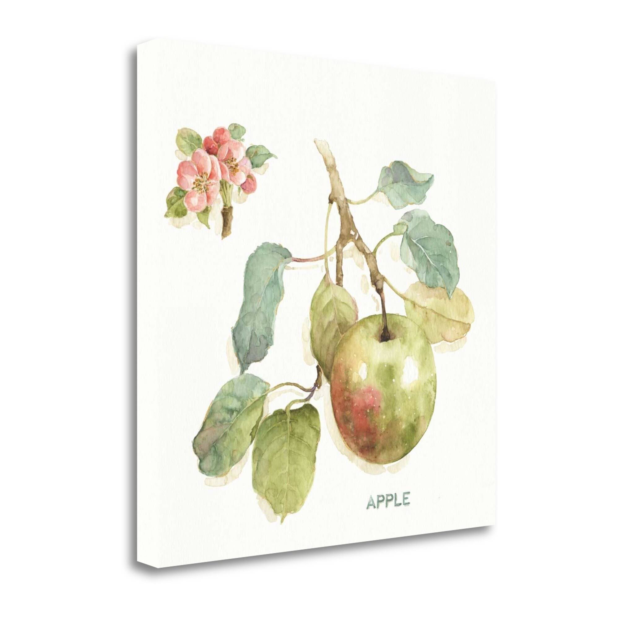 20x22 x 20x22 Orchard Bloom I by Lisa Audit Fine Art Giclee Print