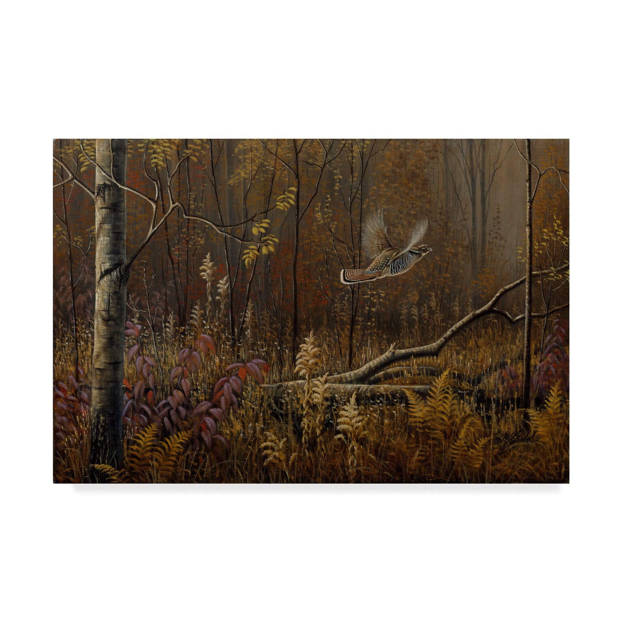 Trademark Fine Art Wilhelm Goebel Into The Open Ruffed Grouse 22x32 Canvas Art | ALI33747-C2232GG