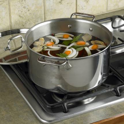 All-Clad Stainless Steel 6-Quart Stock Pot with Lid